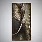 3D metalo menas Dramblys, aukštis 150 cm, plotis 75 cm