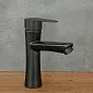 Stainless steel faucet, height 18 cm, spout length 10,5 cm, black, matte