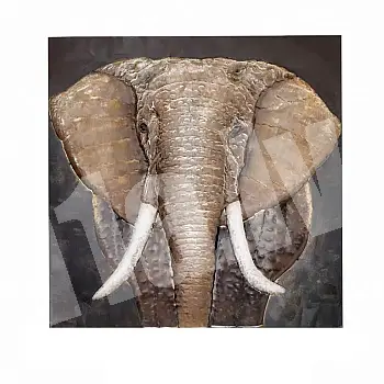 3D metallist seinakunst, pikkade kihvadega Aafrika savanni elevant, suurus 85 cm x 85 cm