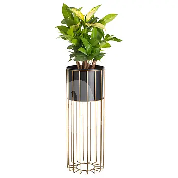 Metal designed flower pot made of rods golden color and black color bucket, width 20 cm height 55 cm