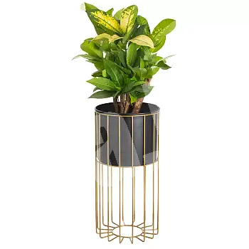 Metalo dizaino gėlių vazonas iš plieninių strypų auksinės spalvos ir plastikinio krepšelio juodos spalvos, plotis 20 cm, aukštis 46 cm