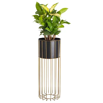 Gold-colored metal plant stand with black pot, width 20 cm, height 55 cm