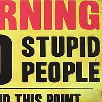 Dekoratīvā sienas plāksne, NO STUPID PPL, 30x20 cm