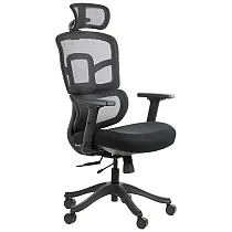 Ergonomic offiece chair with black nylon base, backrest upholstered with mesh, lumbar support