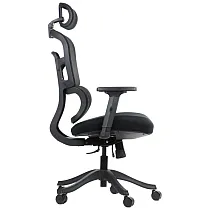 Ergonomic offiece chair with black nylon base, backrest upholstered with mesh, lumbar support